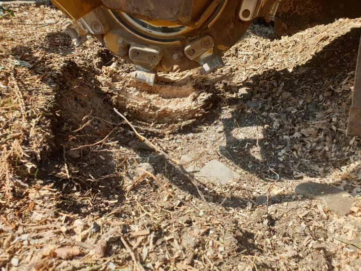 Service de rognage Orne